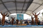 درخت و باد