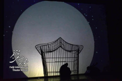  فریب/ کارگرد اندرو تومئو گومیلا