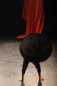 Oedipus / Director,Alireza SHeykhan