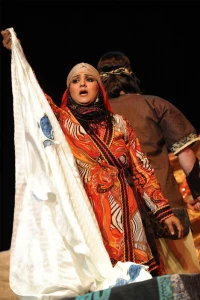 Shadow Phoenix / Director,Roya Mokhtari