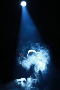 Faust, Director Hamid Reza Na’eemi