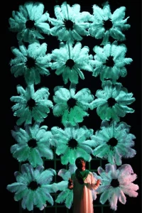 A Skirt of Moons and Stars, Director Amir Dejakam