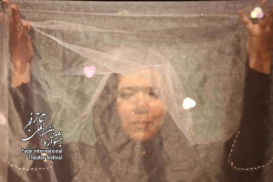 Bride Veil