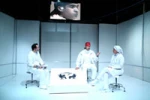 Eight specialized workshops will be held besides the festival
 2