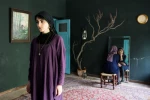 اجرای محیطی پروانه