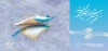 جدول موقت اجراهای خیابانی و دیگرگونه های اجرایی سی و هفتمین جشنواره ی بین المللی تئاتر فجر 2