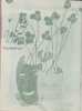 نشریه روزانه - شماره 4