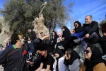 پلاستیک-کارگردان:بهنام کاوه-عکس:رضا معطریان-مکان:فرهنگسرای رازی-زمان:5بهمن1403‎