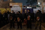 نمایش ماهی قرمز
