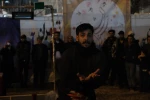 نمایش ماهی قرمز